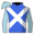 Runner silk