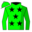Runner silk